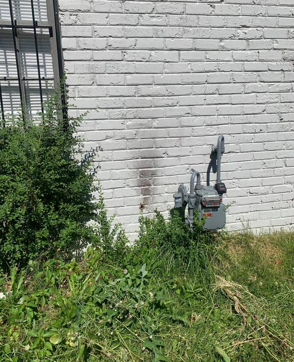 Bienen-Experten aus den USA posten auf ihrem Facebook-Account ein Foto von einer Hauswand in Memphis. Sie besteht aus weißen Backsteinen und wirkt harmlos. Doch hinter der Wand verstecken sich Tausende Bienen.