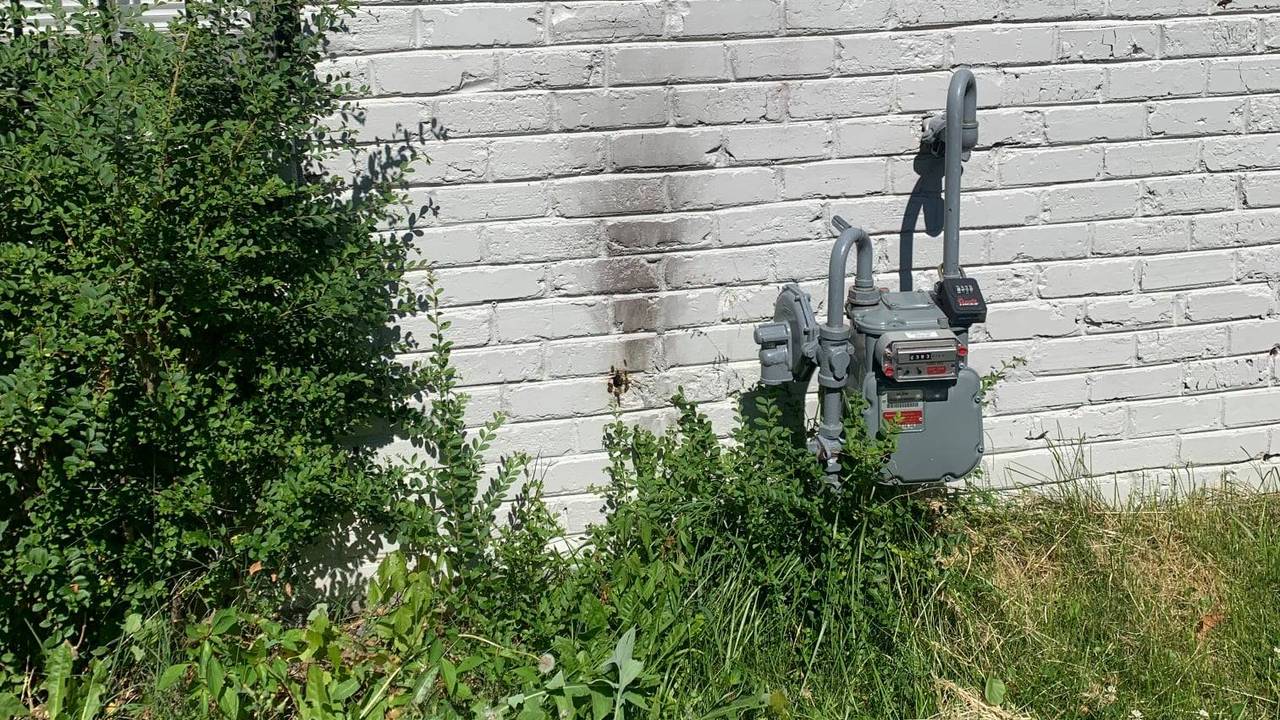 Bienen-Experten aus den USA posten auf ihrem Facebook-Account ein Foto von einer Hauswand in Memphis. Sie besteht aus weißen Backsteinen und wirkt harmlos. Doch hinter der Wand verstecken sich Tausende Bienen.