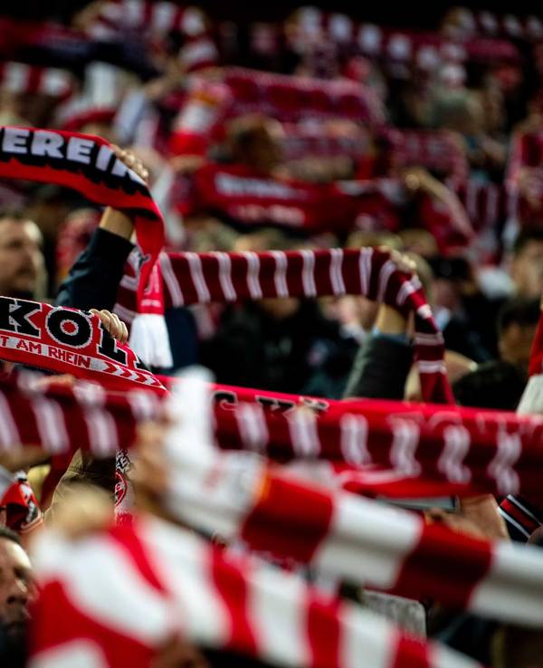 Fans des 1. FC Köln stehen auf der Tribüne