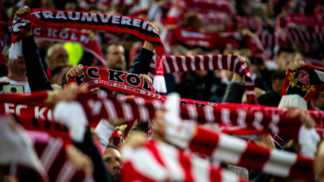 Fans des 1. FC Köln stehen auf der Tribüne