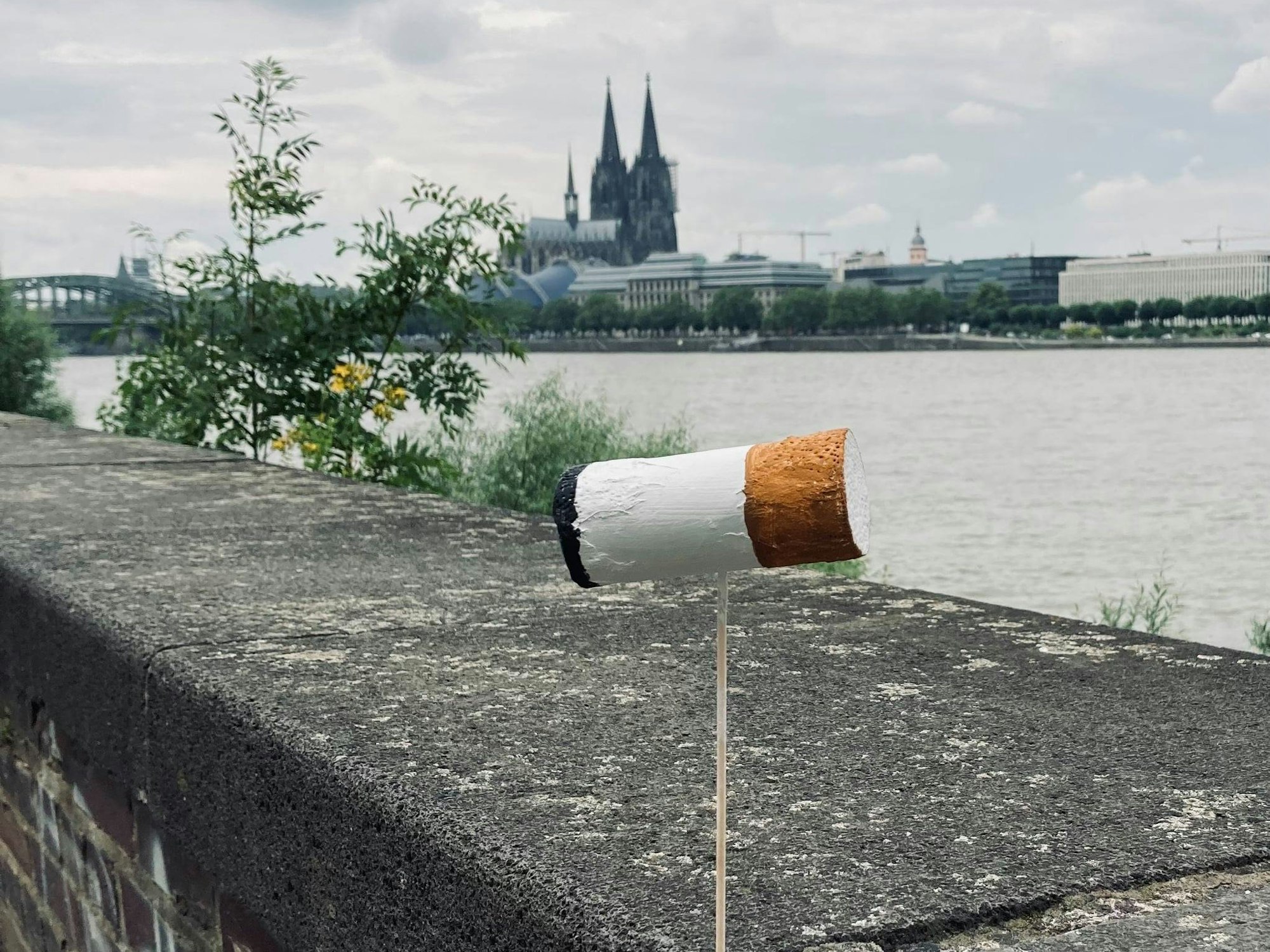 Eine überdimensionale Zigarettenkippe ist auf einer Mauer am Kölner Rheinufer befestigt, im Hintergrund der Dom.