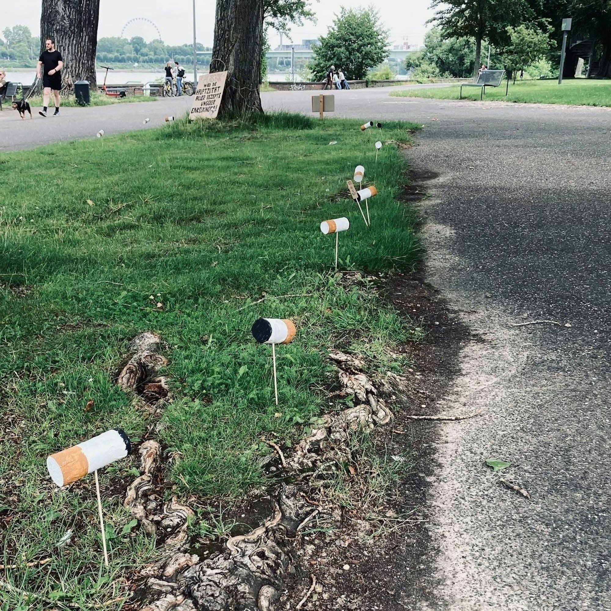 Überdimensionale Zigarettenkippen sind an einem Weg im Kölner Rheinpark angebracht.