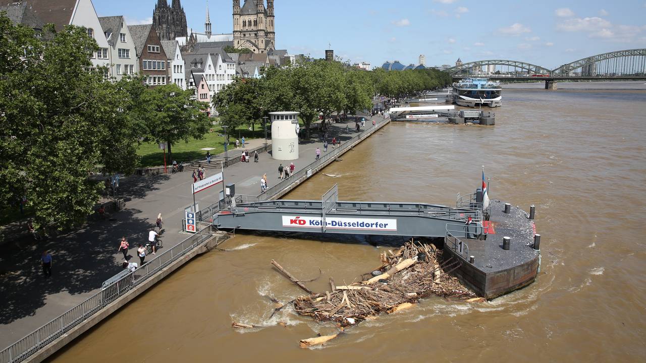 Hochwasser in Köln: Das Rheinufer bei einem Wasserstand von 7,42 Meter.