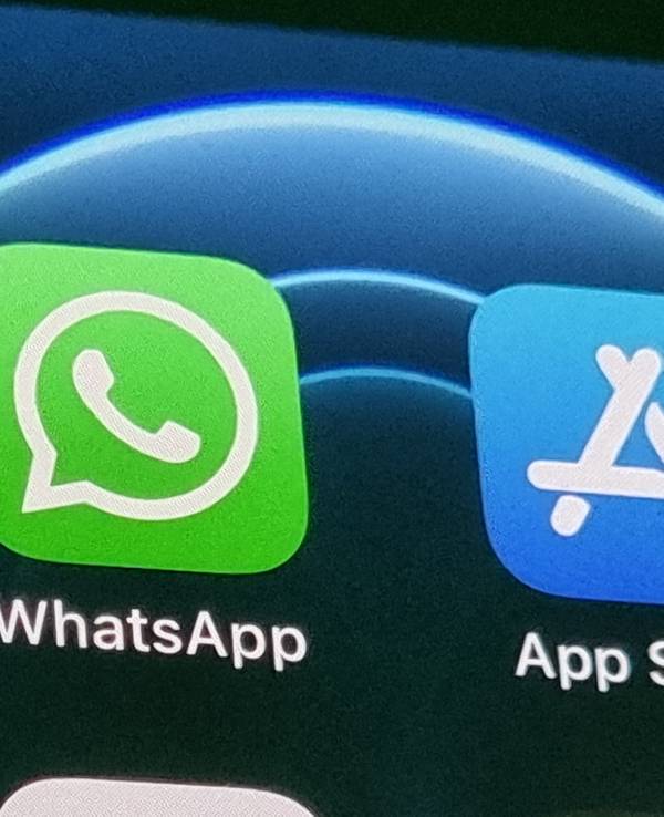 Die Anwendung von WhatsApp auf einem iPhone. WhatsApp belegt derzeit nur noch Platz 30 in den Download-Charts. Heiß begehrt ist aktuell die Anwendung „Picture This – Pflanzen Bestimmen“.