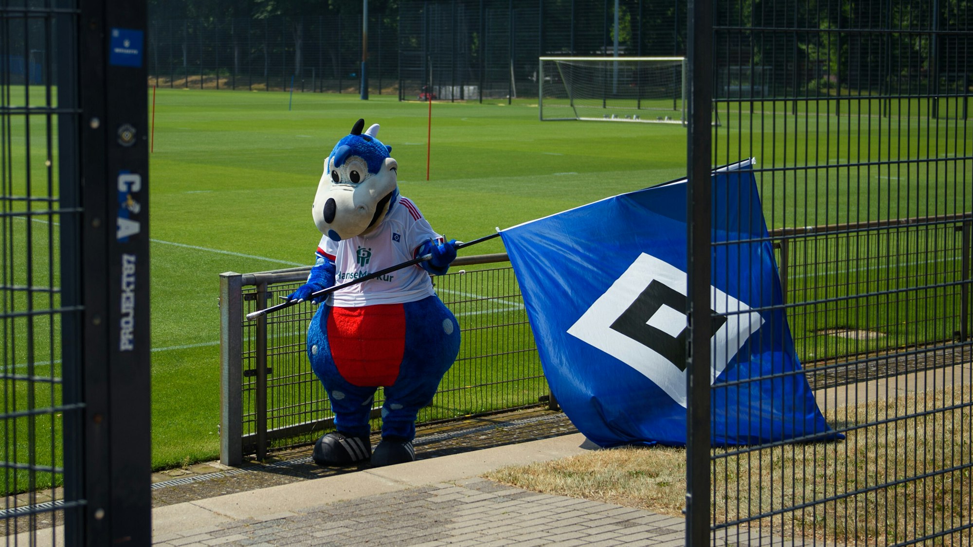 HSV-Maskottchen Dino Herrmann am 18. Juni beim Trainingsauftakt mit HSV-Fahne.