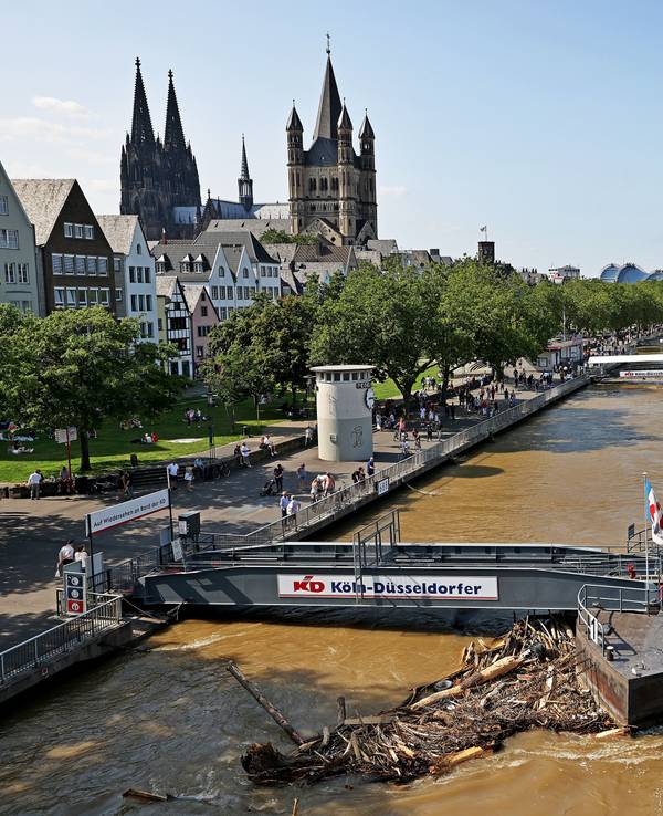 Treibgut liegt an einem Anleger am Rheinufer. Der Rheinpegel sinkt nach den Unwettern wieder.