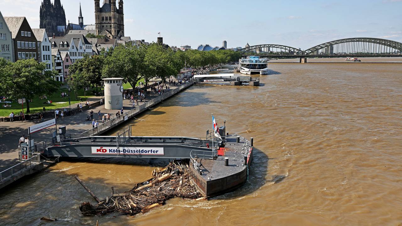 Treibgut liegt an einem Anleger am Rheinufer. Der Rheinpegel sinkt nach den Unwettern wieder.