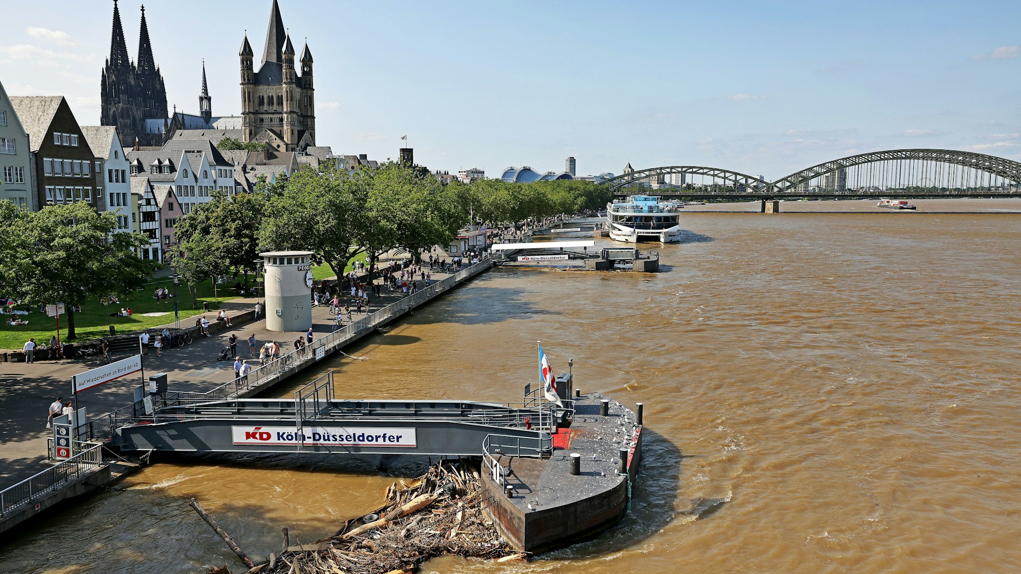 Treibgut liegt an einem Anleger am Rheinufer. Der Rheinpegel sinkt nach den Unwettern wieder.