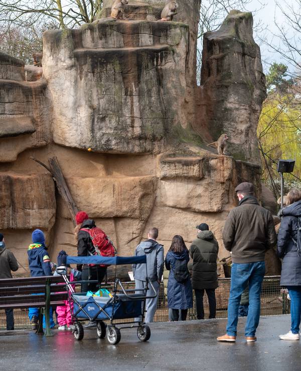 Menschen vor einem Gehege im Kölner Zoo.