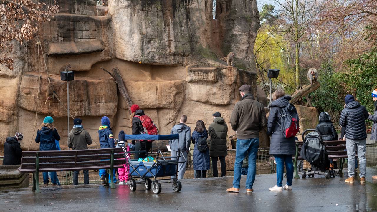 Menschen vor einem Gehege im Kölner Zoo.