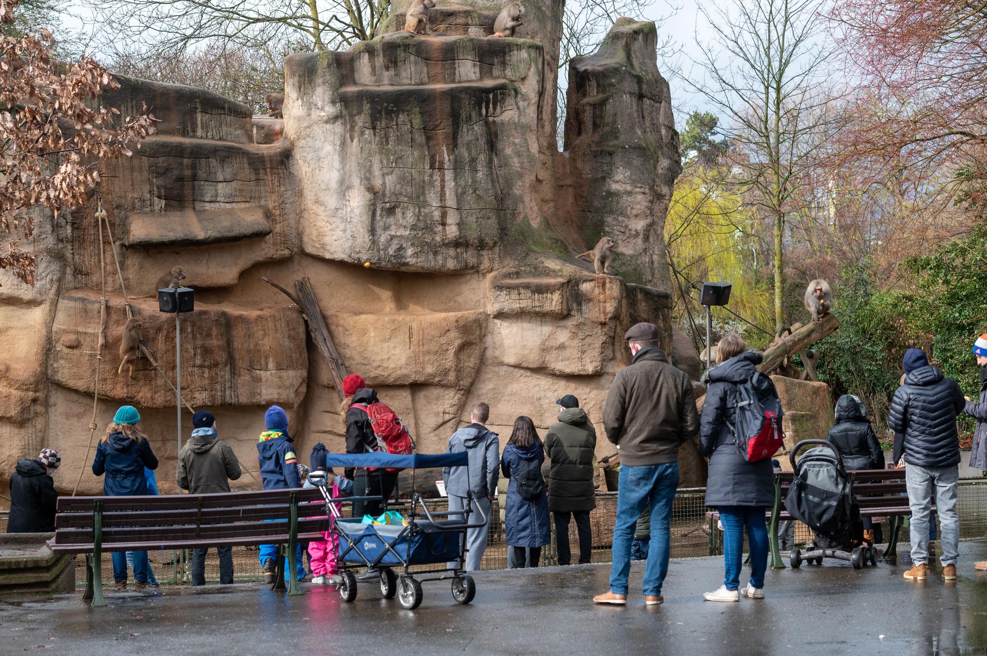 Menschen vor einem Gehege im Kölner Zoo.