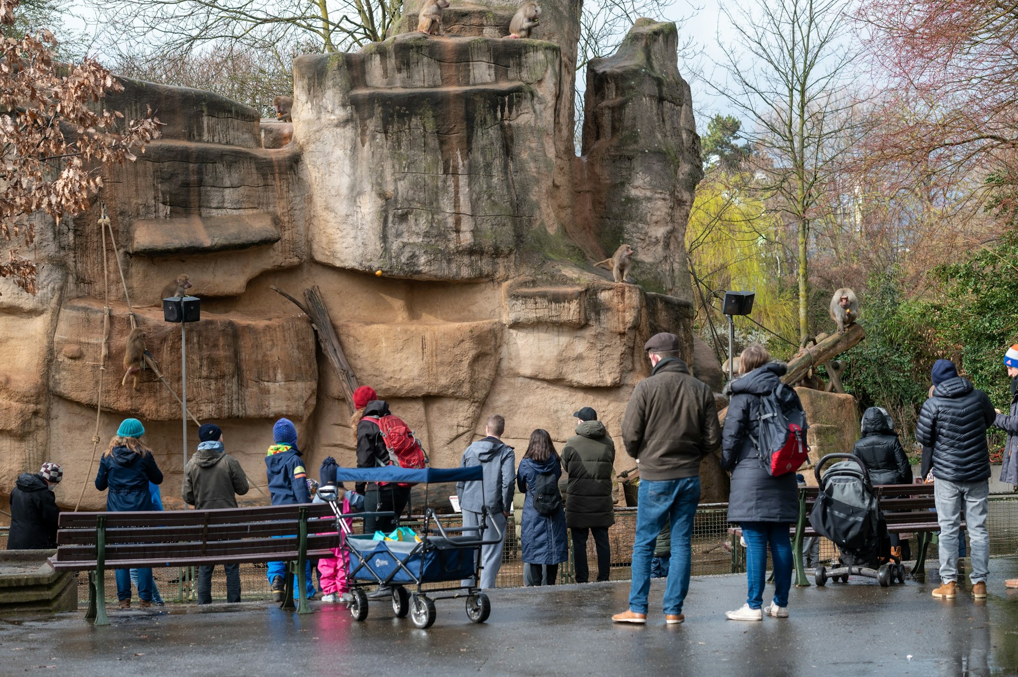 Menschen vor einem Gehege im Kölner Zoo.