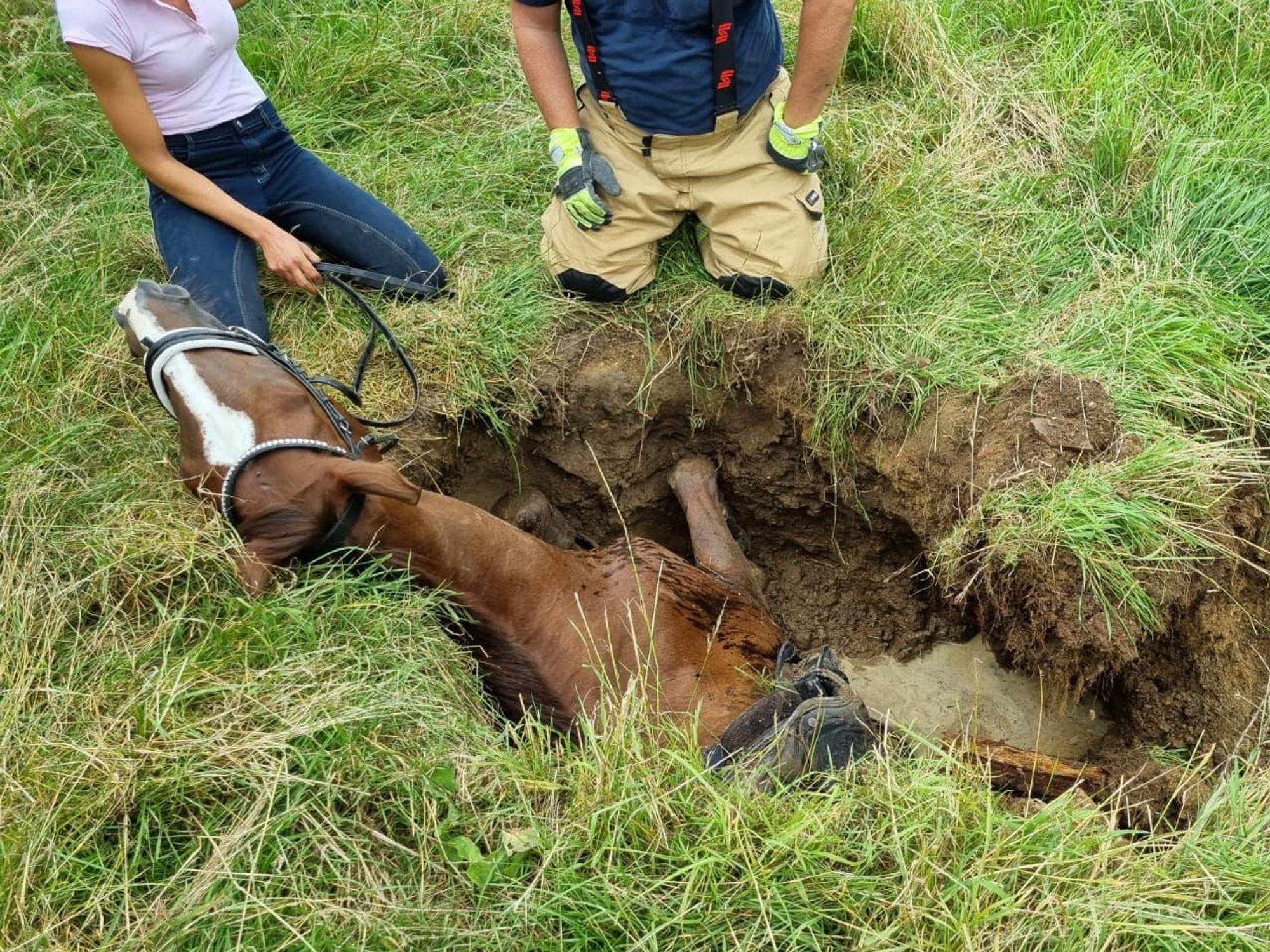 Das Pferd war so tief in dem Loch in Bergisch Gladbach-Herkenrath gefangen, dass schweres Gerät notwendig war.