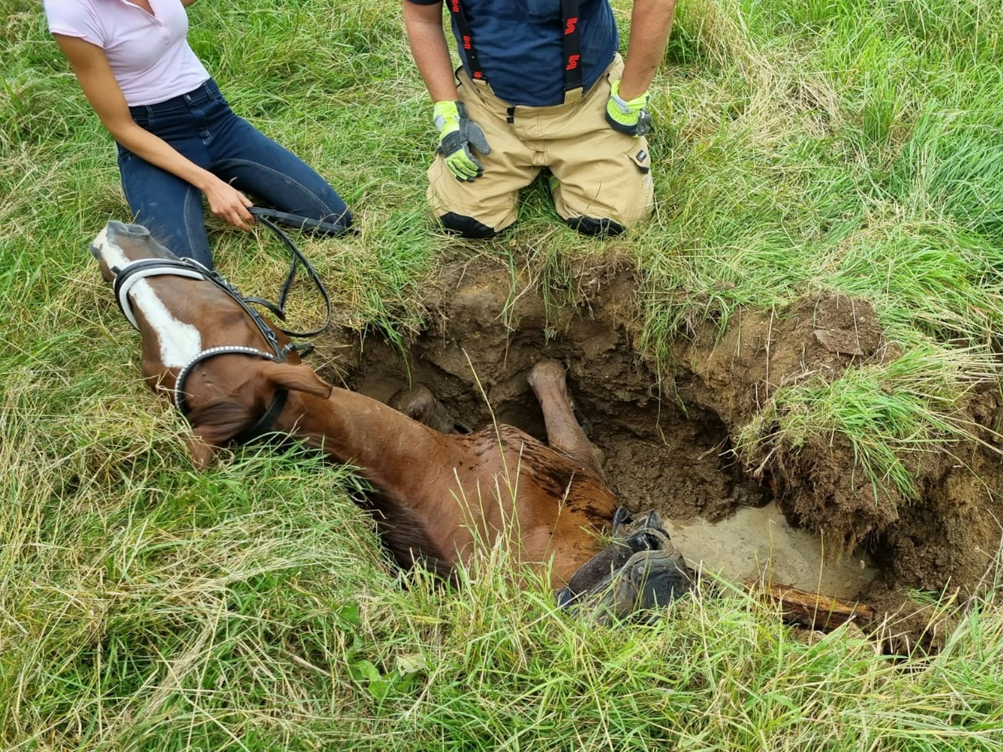 Das Pferd war so tief in dem Loch in Bergisch Gladbach-Herkenrath gefangen, dass schweres Gerät notwendig war.