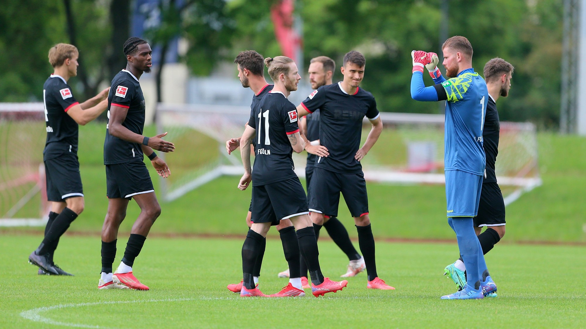 Der 1. FC Köln absolviert ein Testspiel gegen die SV Elversberg.