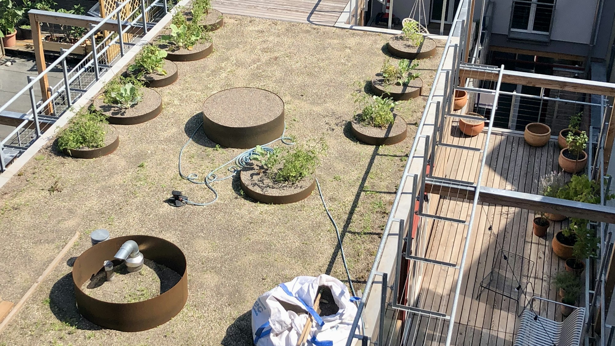 Der Dachgarten der Loftwohnungen ist noch nicht vollständig bewachsen.