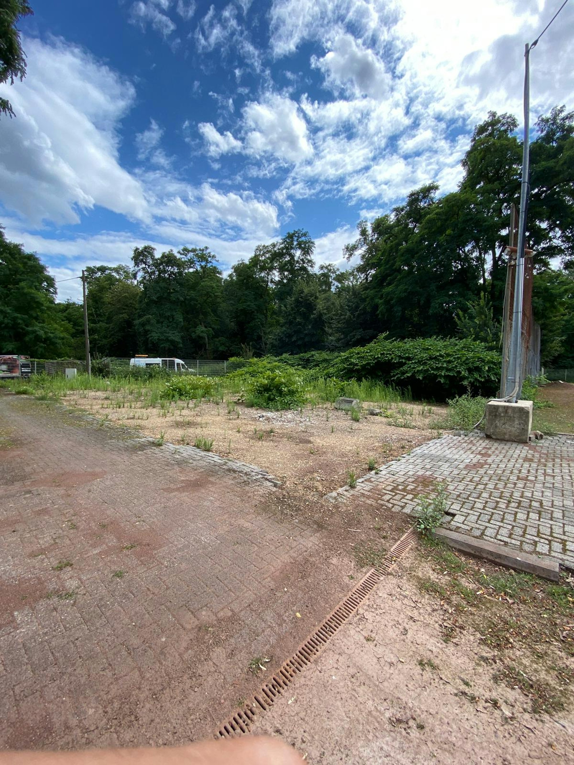 Blick auf Asphalt und Unkraut auf der Sportanlage in Vogelsang.