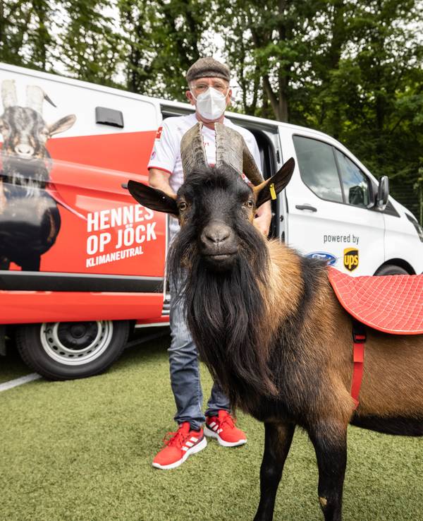 1. FC-Köln-Maskottchen Hennes IX. vor einem emissionsfreien Ford Transit Custom Plug-in Hybrid mit Betreuer Ingo Reipka