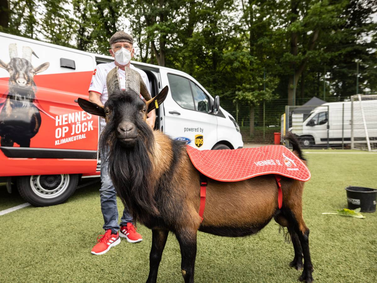 1. FC-Köln-Maskottchen Hennes IX. vor einem emissionsfreien Ford Transit Custom Plug-in Hybrid mit Betreuer Ingo Reipka