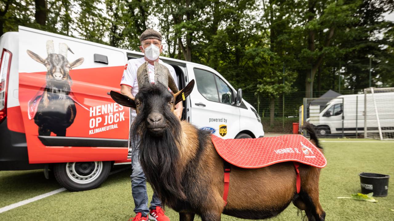 1. FC-Köln-Maskottchen Hennes IX. vor einem emissionsfreien Ford Transit Custom Plug-in Hybrid mit Betreuer Ingo Reipka