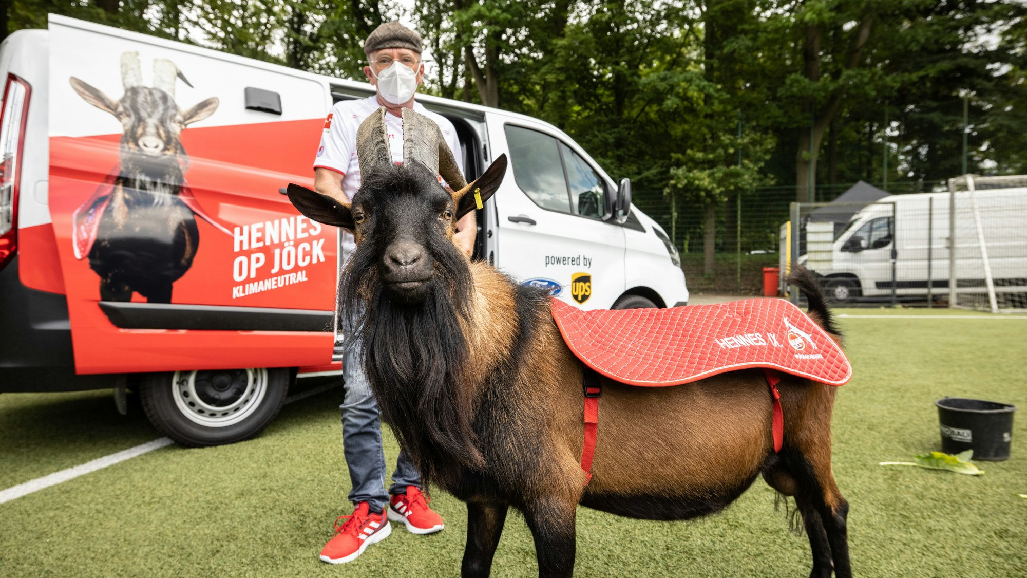 1. FC-Köln-Maskottchen Hennes IX. vor einem emissionsfreien Ford Transit Custom Plug-in Hybrid mit Betreuer Ingo Reipka