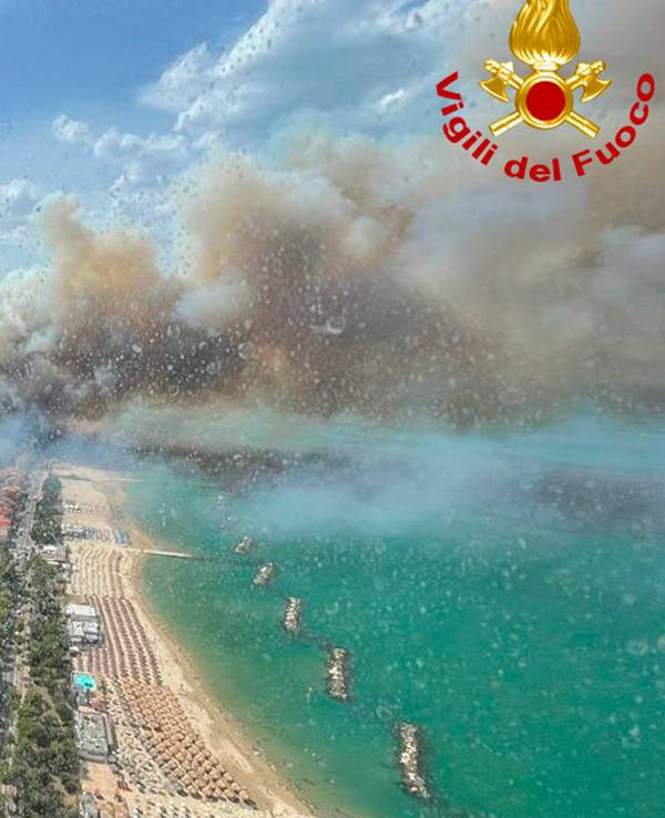 Feuer in Italien, Pescara: Dichter Rauch steigt von einem Waldbrand eines Pinienwaldes auf.
