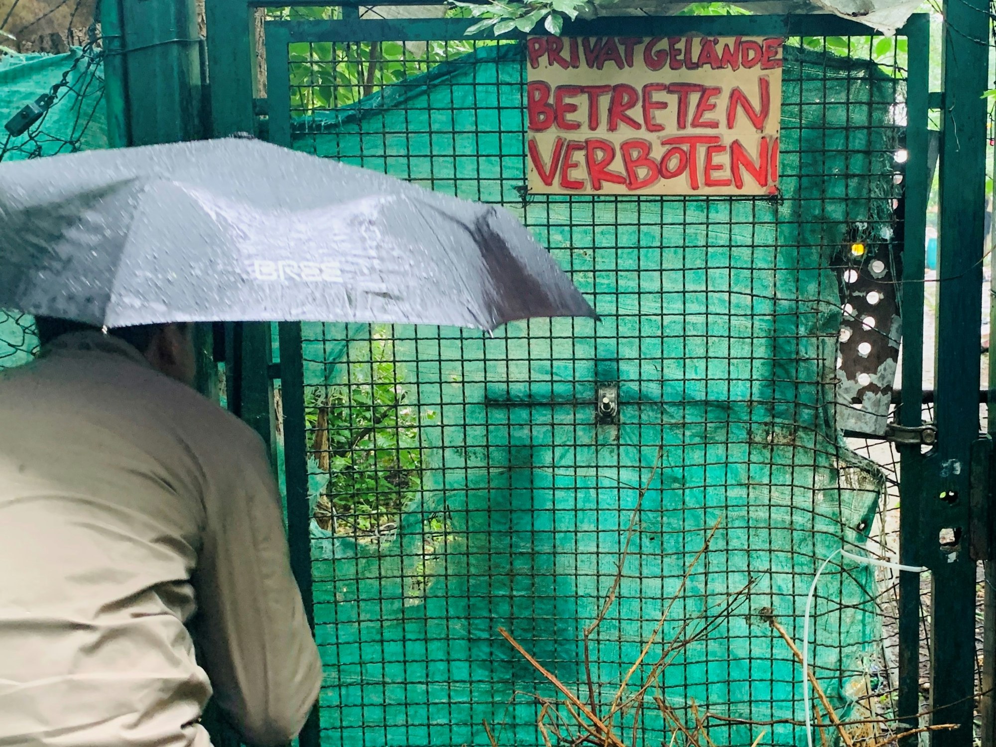 Ein Anwohner in Köln-Poll schaut durch einen Schlitz durch einen Zaun.