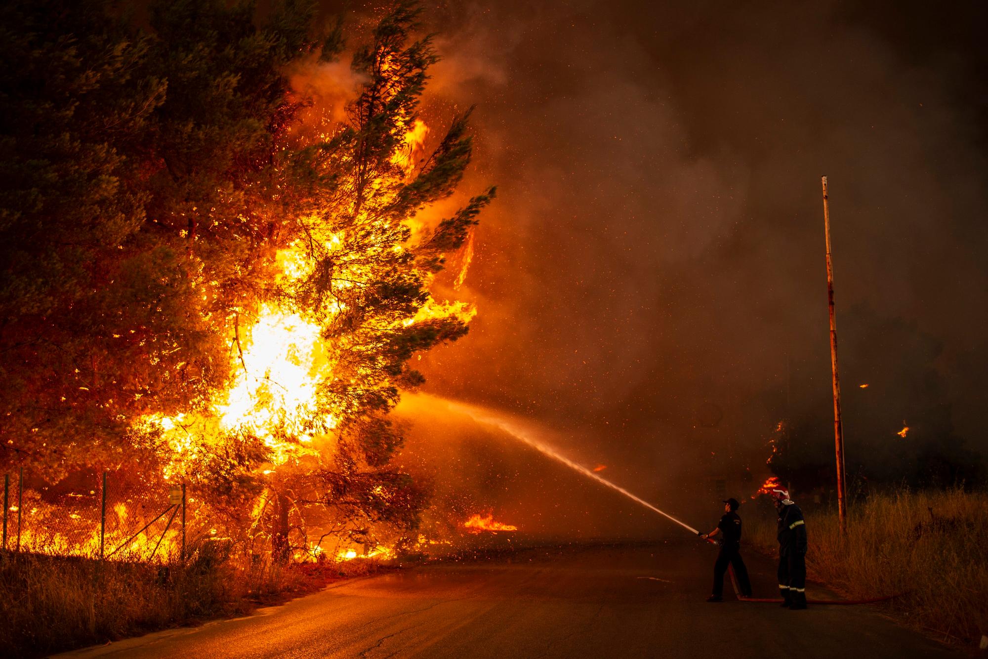 Feuerwehrleute bekämpfen am 05.08.2021 einen Waldbrand in einem Waldgebiet nördlich von Athen.