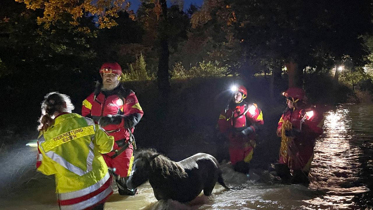 Mitarbeiter der Essener Tierrettung ziehen ein Pony durch das Hochwasser im Kreis Düren.