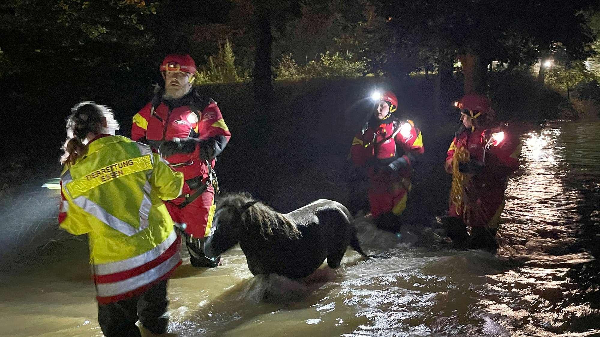 Mitarbeiter der Essener Tierrettung ziehen ein Pony durch das Hochwasser im Kreis Düren.