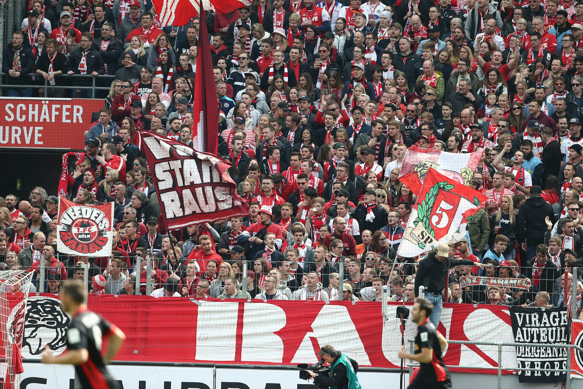 Fans auf der vollbesetzten Südtribüne im Rhein-Energie-Stadion in Köln.
