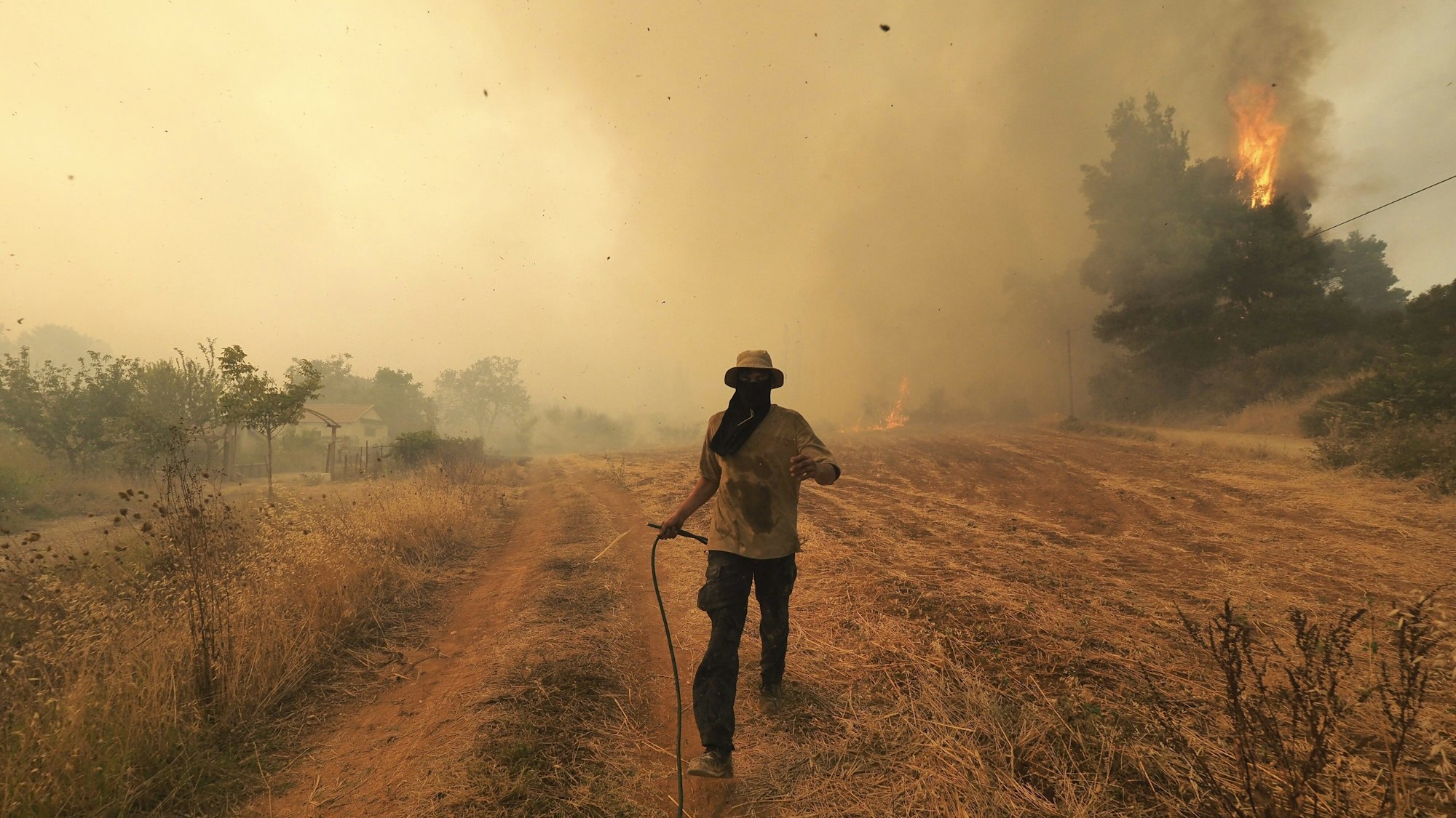 Die zweitgrößte, stark bewaldete griechische Insel Euböa (hier am 6. August) erstickt unter einer einzigen Rauchwolke aus zahllosen Brandherden.