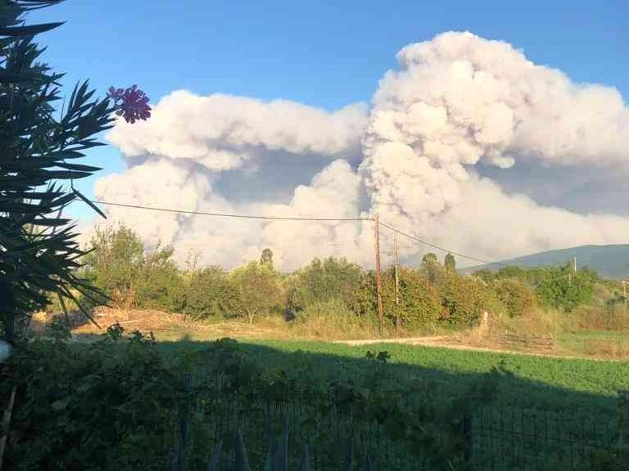 Ein Waldbrand auf der Insel Euböa.