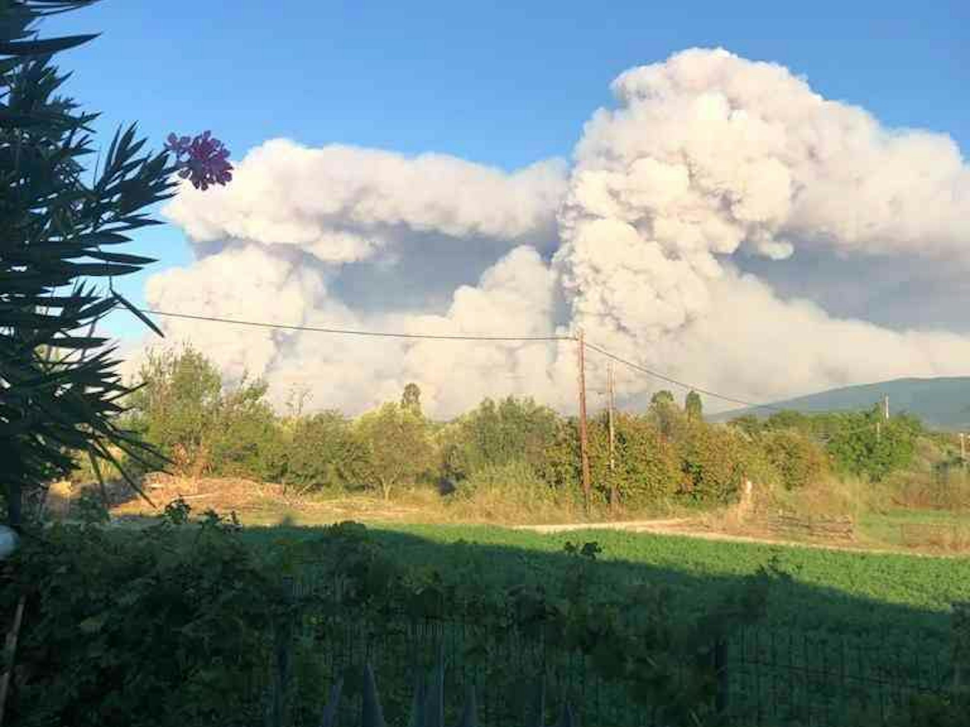 Ein Waldbrand auf der Insel Euböa.