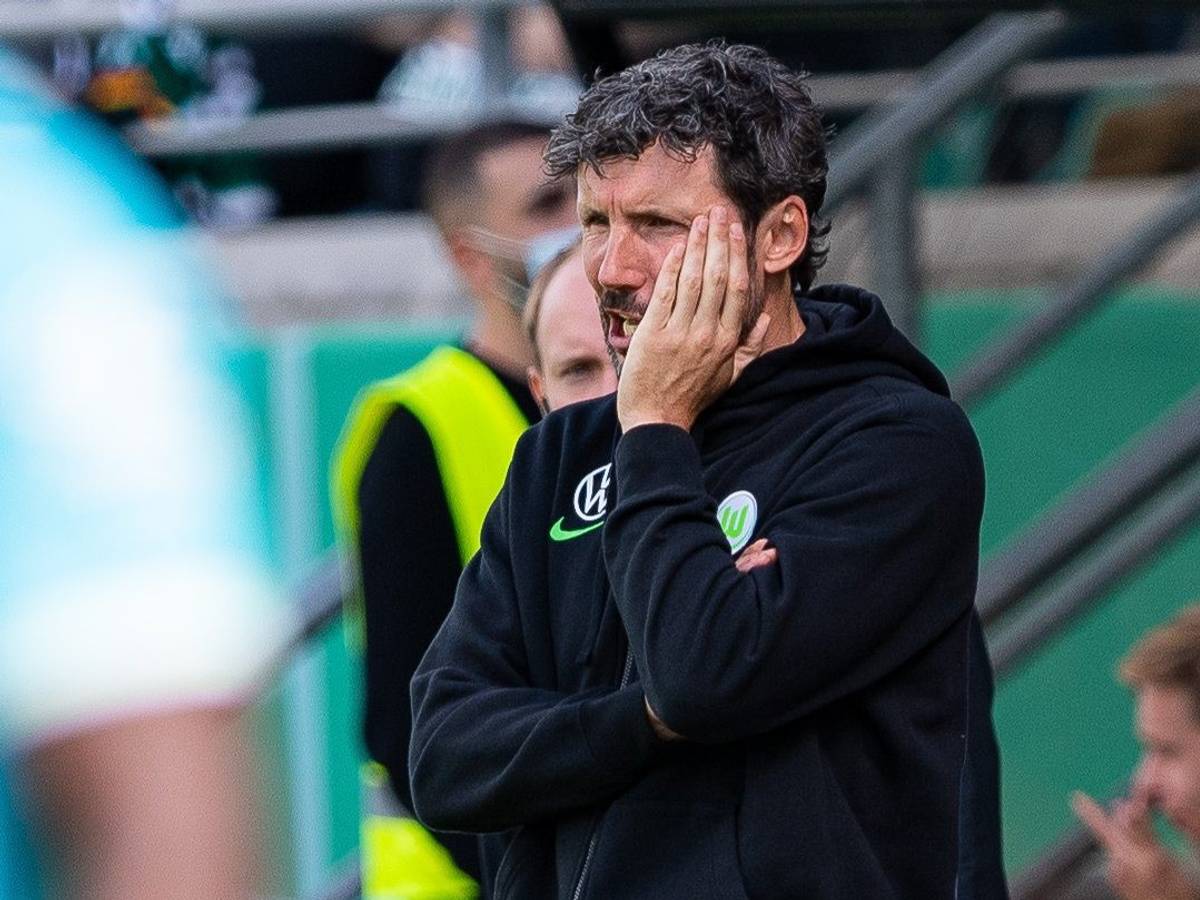 Mark van Bommel steht am Spielfeldrand im DFB-Pokal.