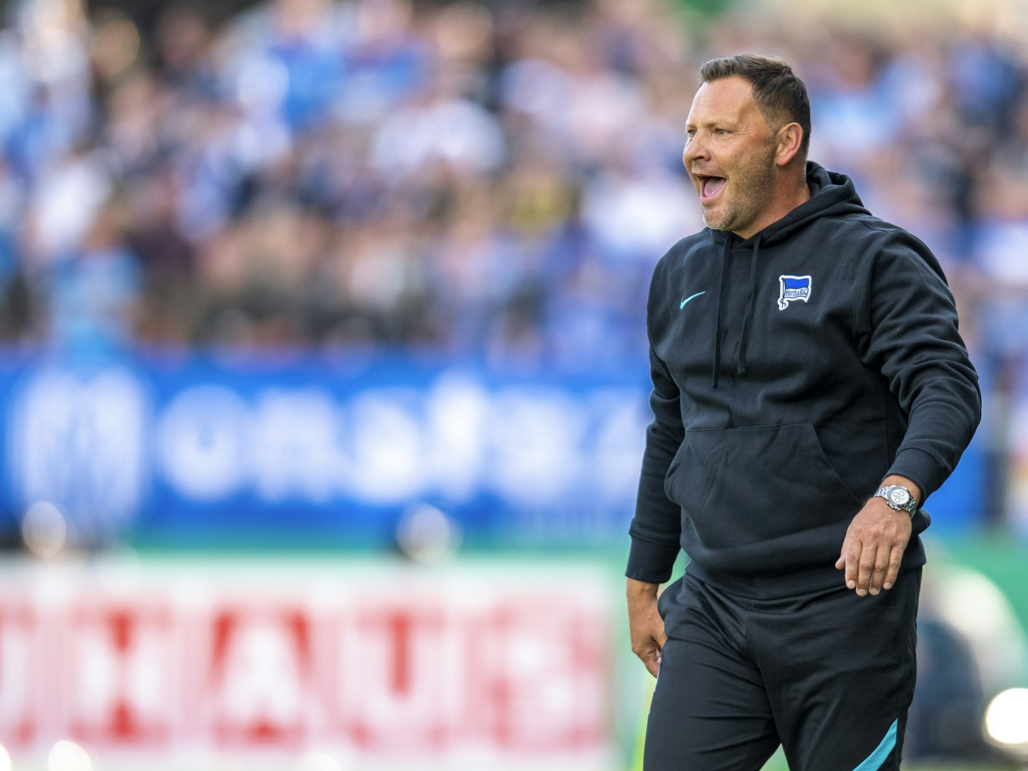 Pal Dardai beim DFB-Pokal-Spiel SV Meppen gegen Hertha BSC