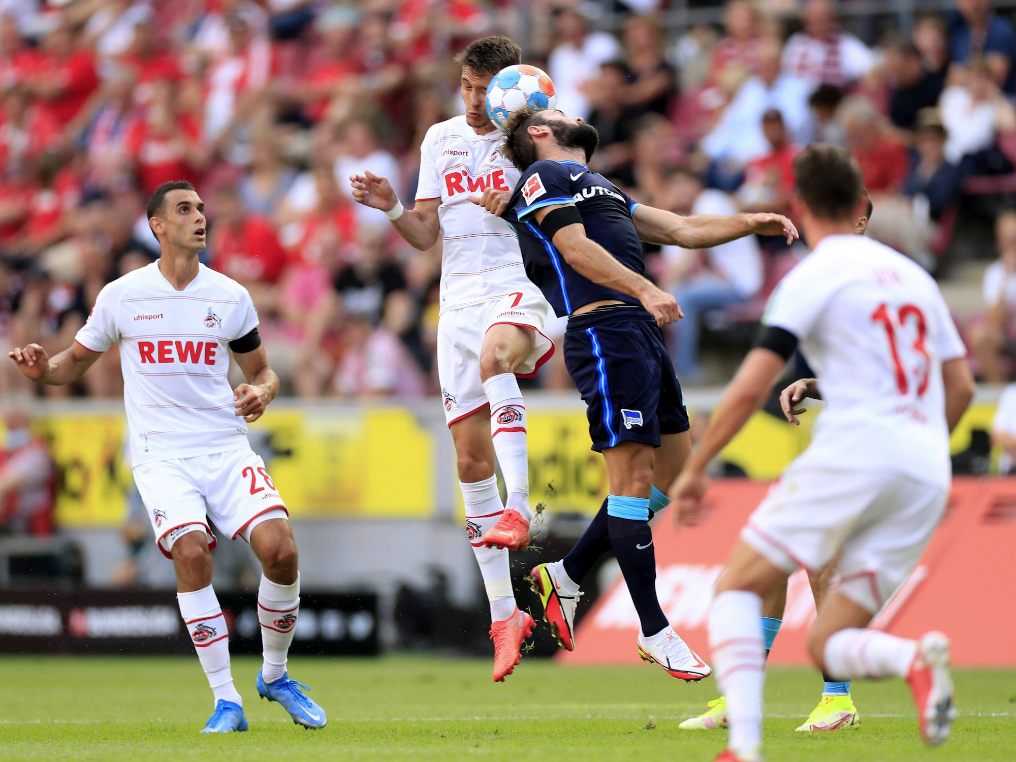 Dejan Ljubicic spielt für den 1. FC Köln gegen Hertha BSC.