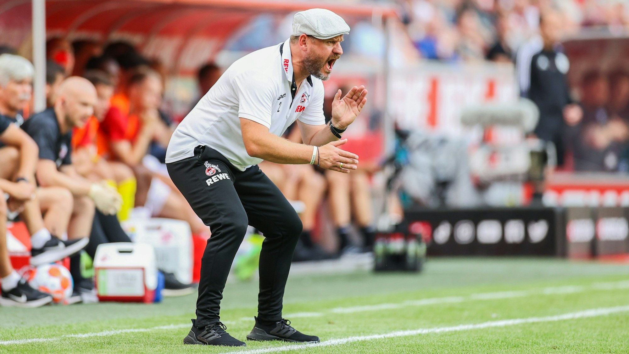 Trainer Steffen Baumgart vom 1. FC Köln gibt seiner Mannschaft vom Spielfeldrand des Rhein-Energie-Stadions gegen Hertha BSC Anweisungen.