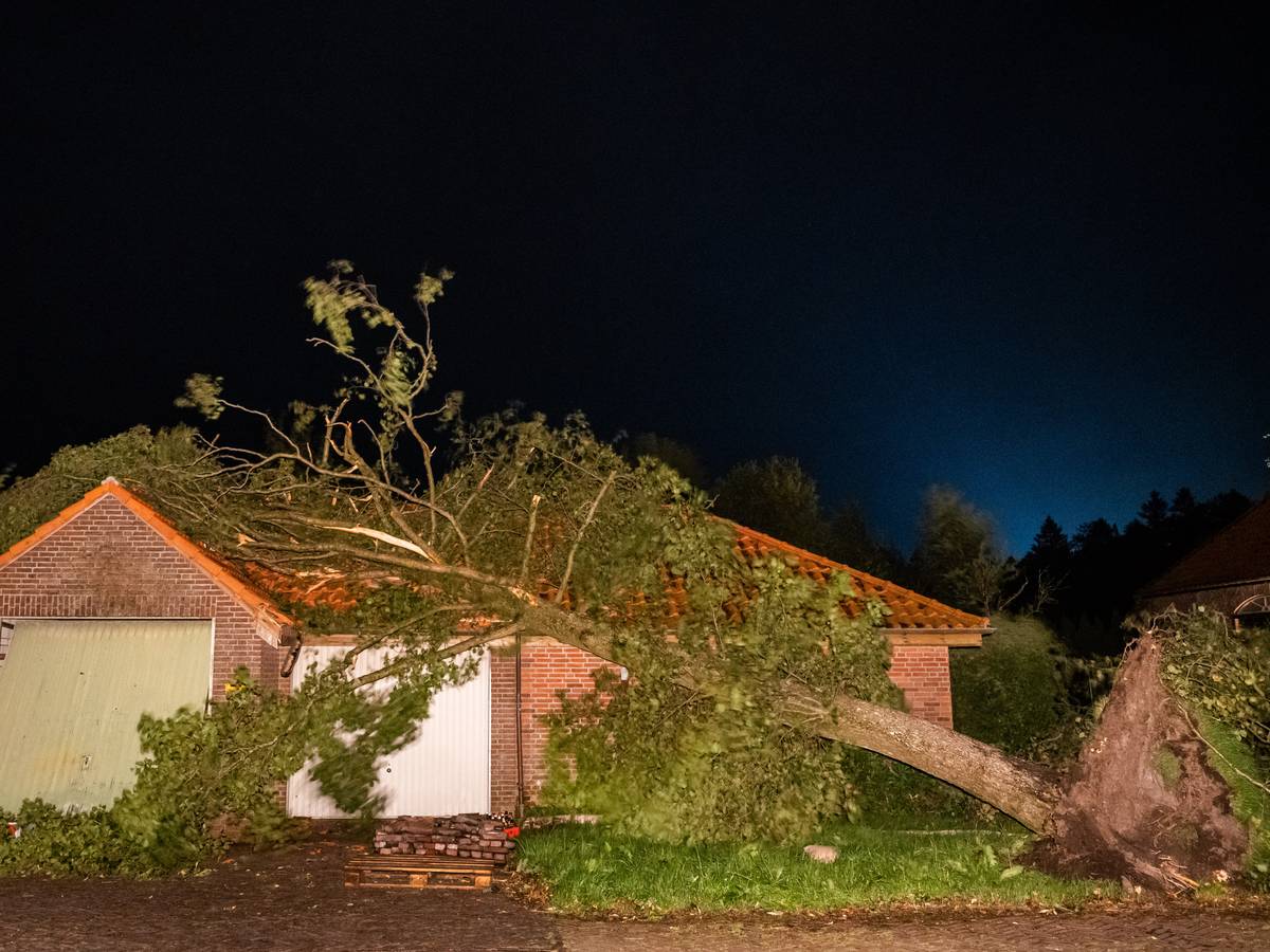 Ein umgewehter Baum hängt noch halb auf dem Dach eines Hauses.