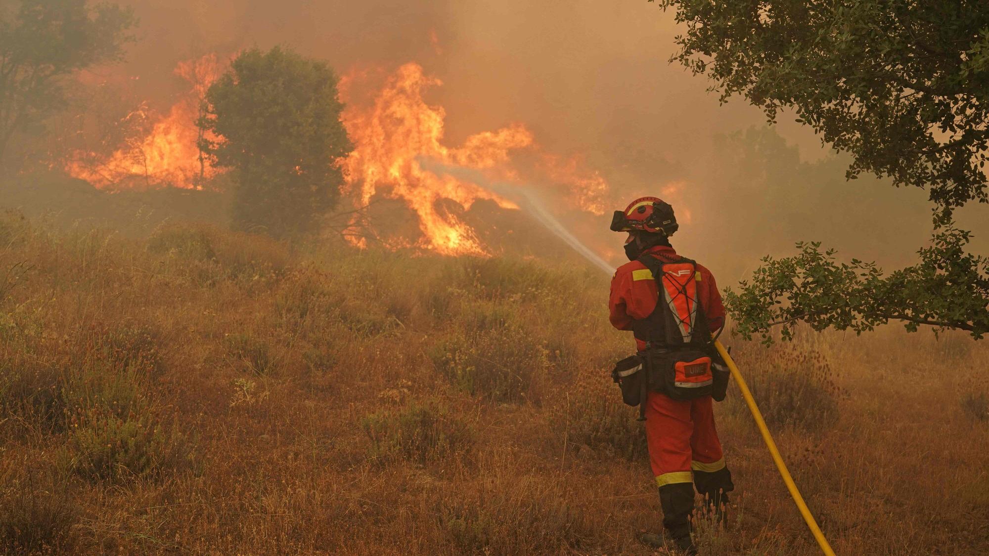 Ein Feuerwehrmann löscht in Spanien Waldbrände in der Region Ávila.