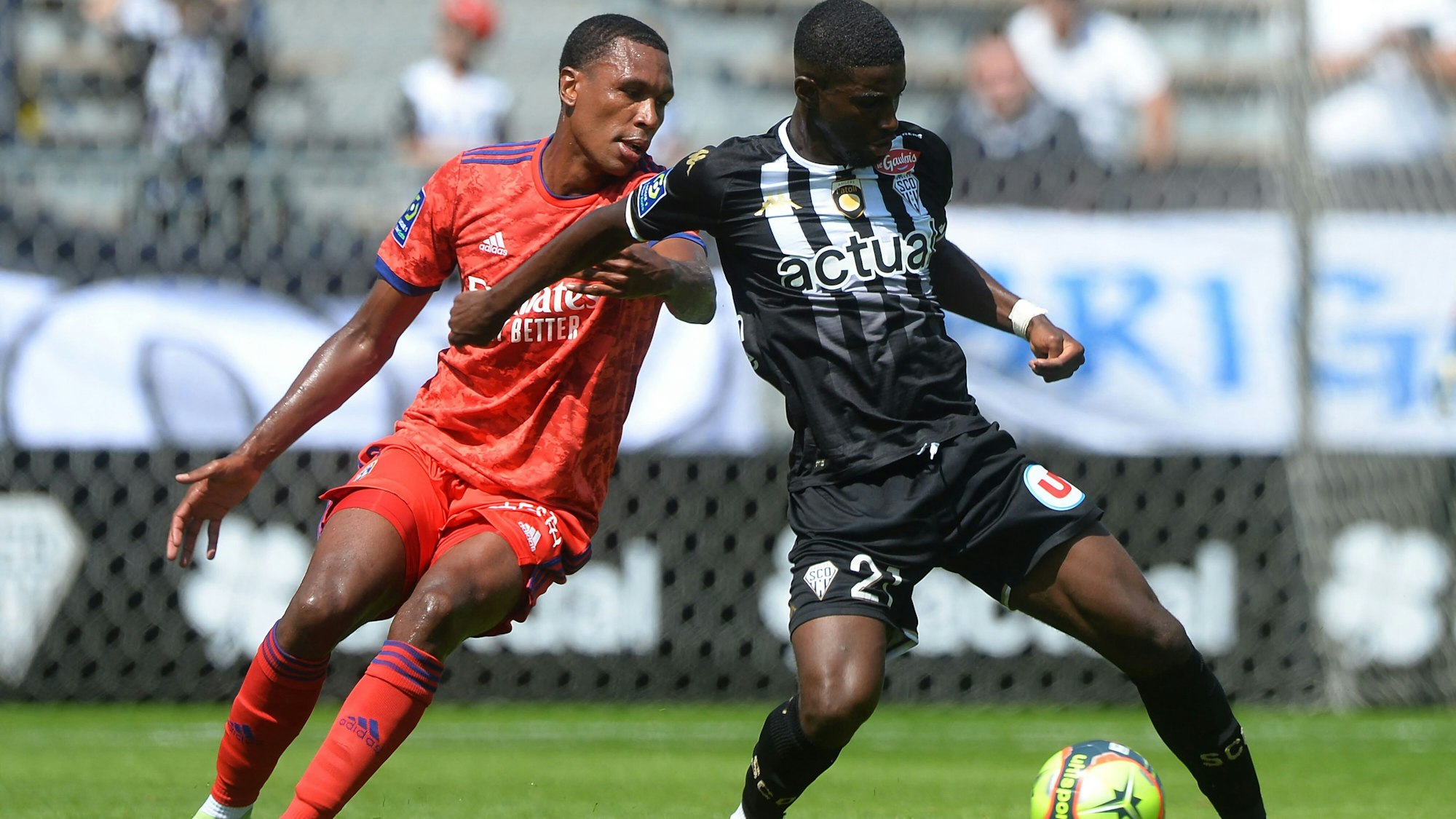 Marcelo (l.) im Zweikampf mit Mohamed-Ali Cho von Angers SCO.