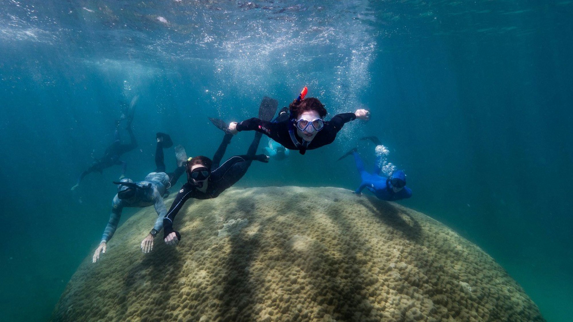 Wissenschaftler schwimmen über die gewaltige Riesenkoralle im australischen Great Barrier Reef.