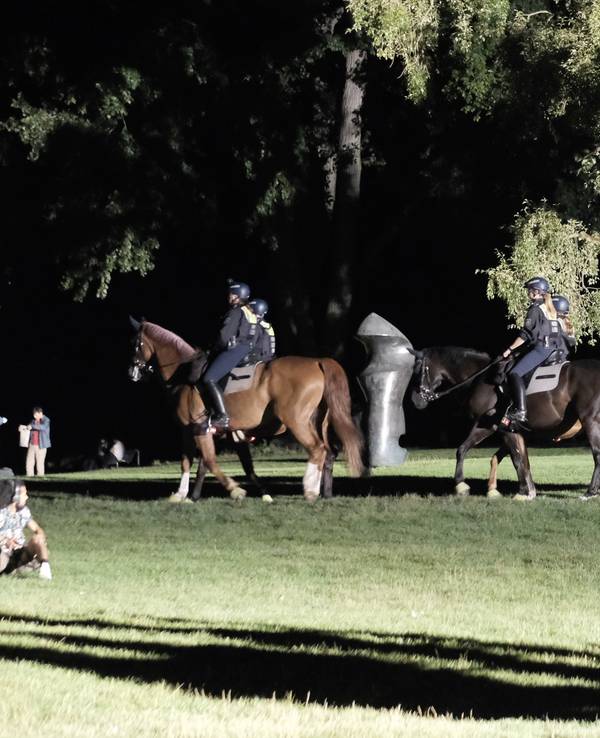 Polizisten auf Pferden reiten über die Grünfläche am Aachener Weiher.