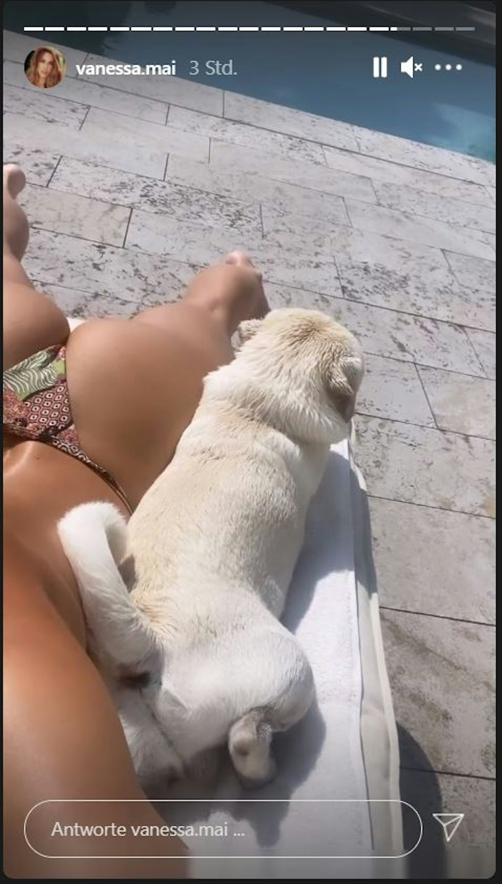 Vanessa Mai zeigt ihren Po beim Sonnenbanden am 21. August 2021 in ihrer Instagram-Story.