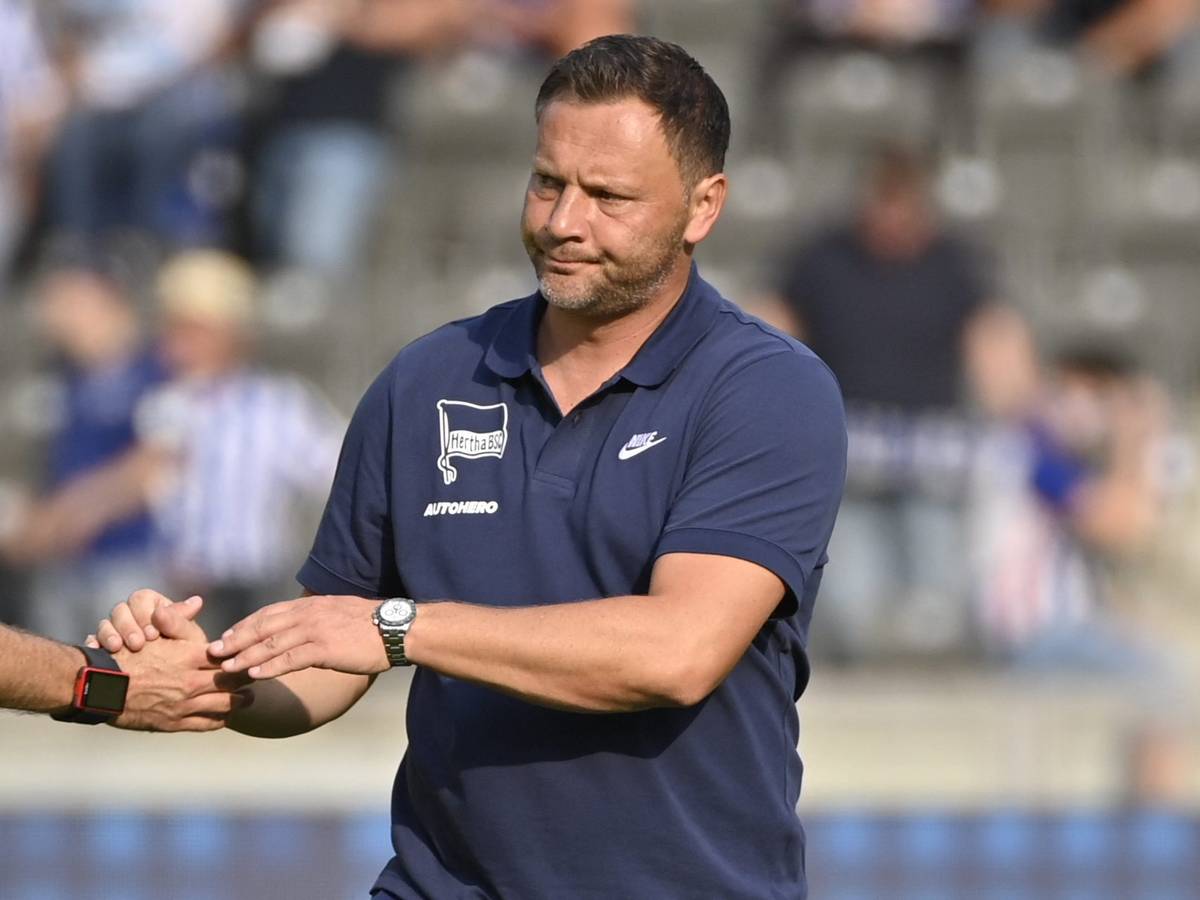 Pal Dardai nach dem Spiel von Hertha BSC gegen den VfL Wolfsburg.