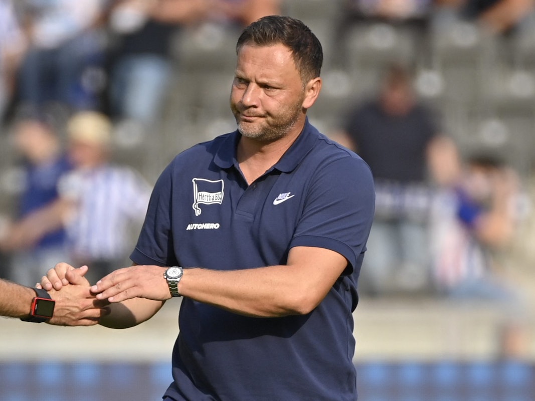 Pal Dardai nach dem Spiel von Hertha BSC gegen den VfL Wolfsburg.