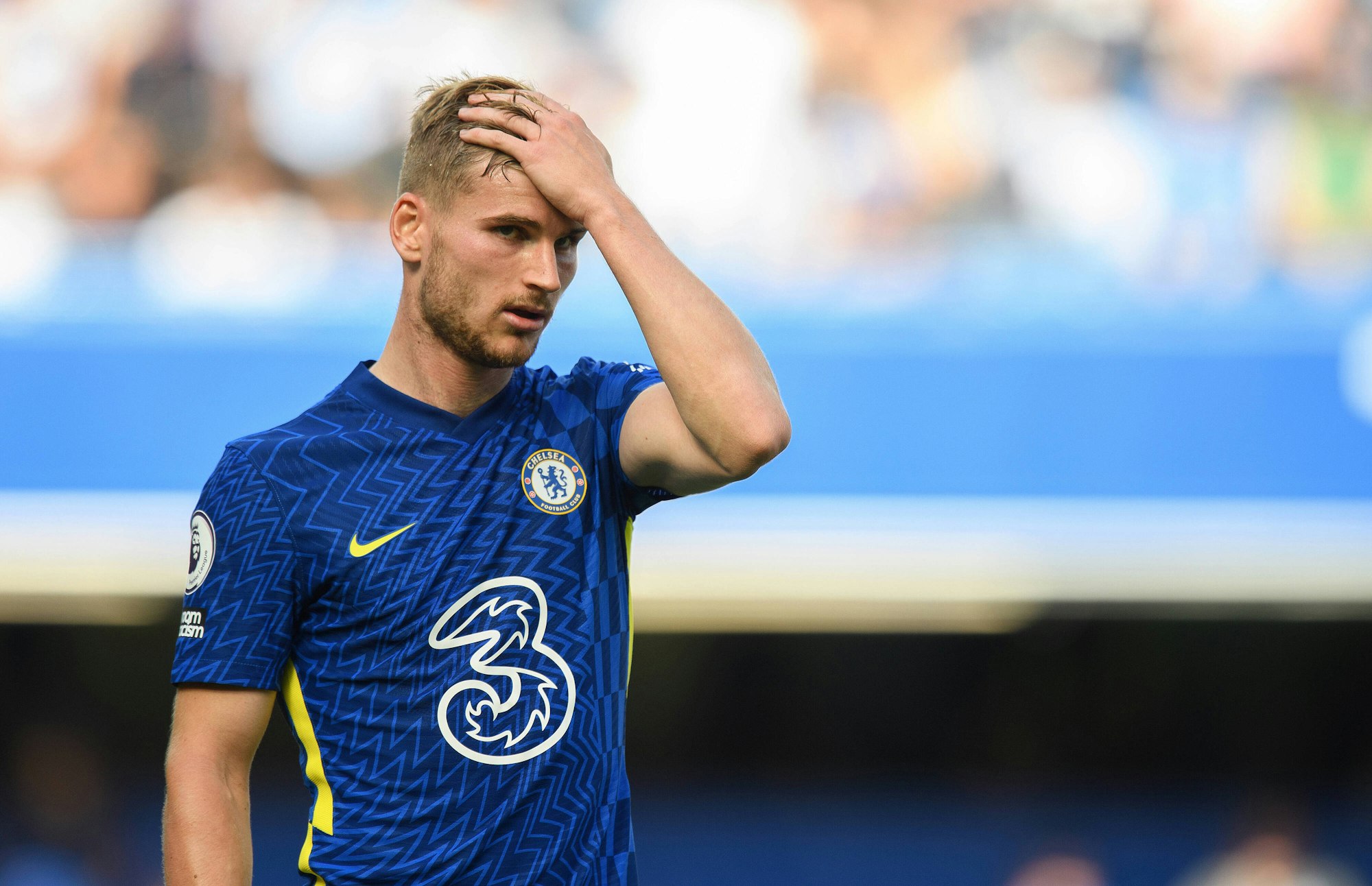 Timo Werner fasst sich im Trikot von Chelsea an den Kopf.