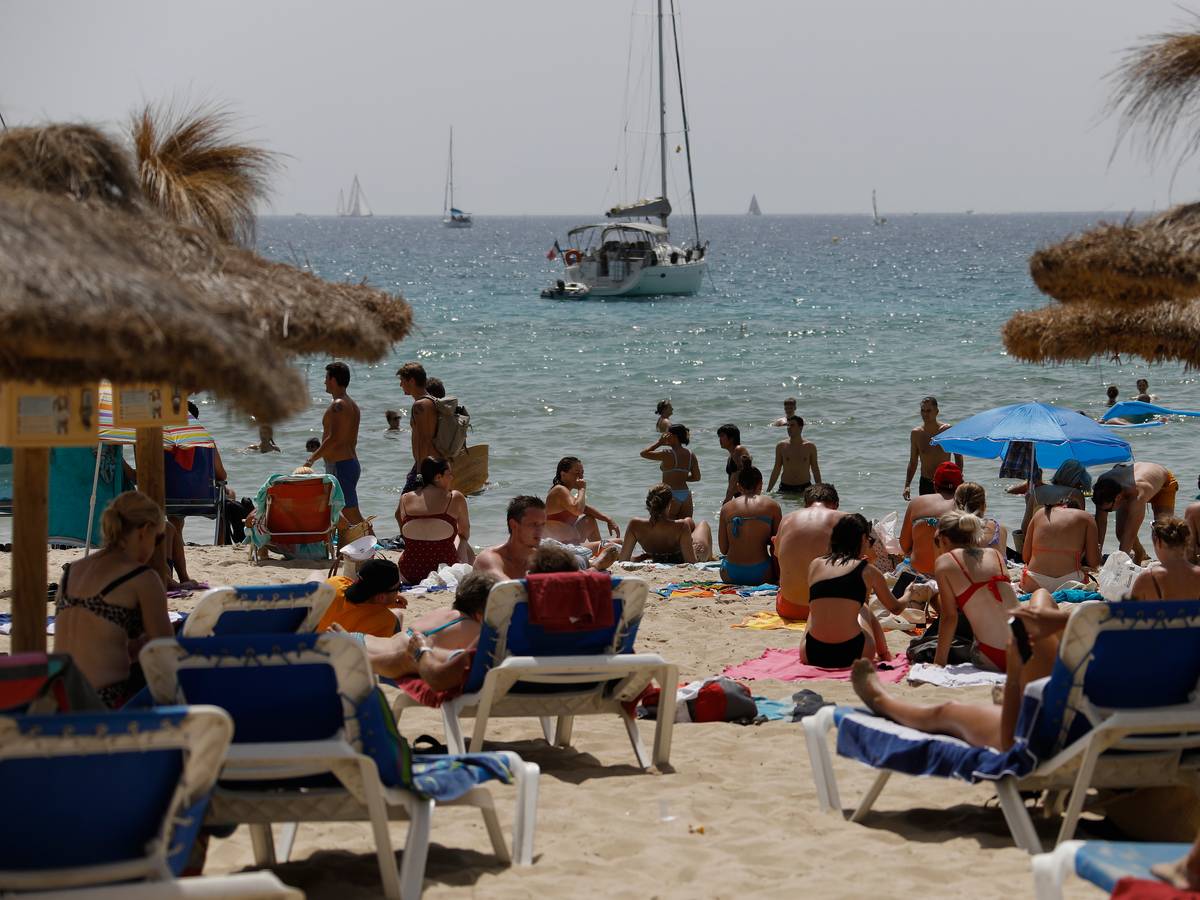 Auch am Strand in Palma de Mallorca (hier ein Archivfoto) wurden die Riesenquallen gesichtet.