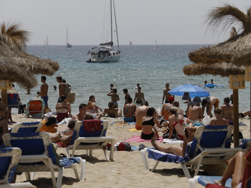 Auch am Strand in Palma de Mallorca (hier ein Archivfoto) wurden die Riesenquallen gesichtet.
