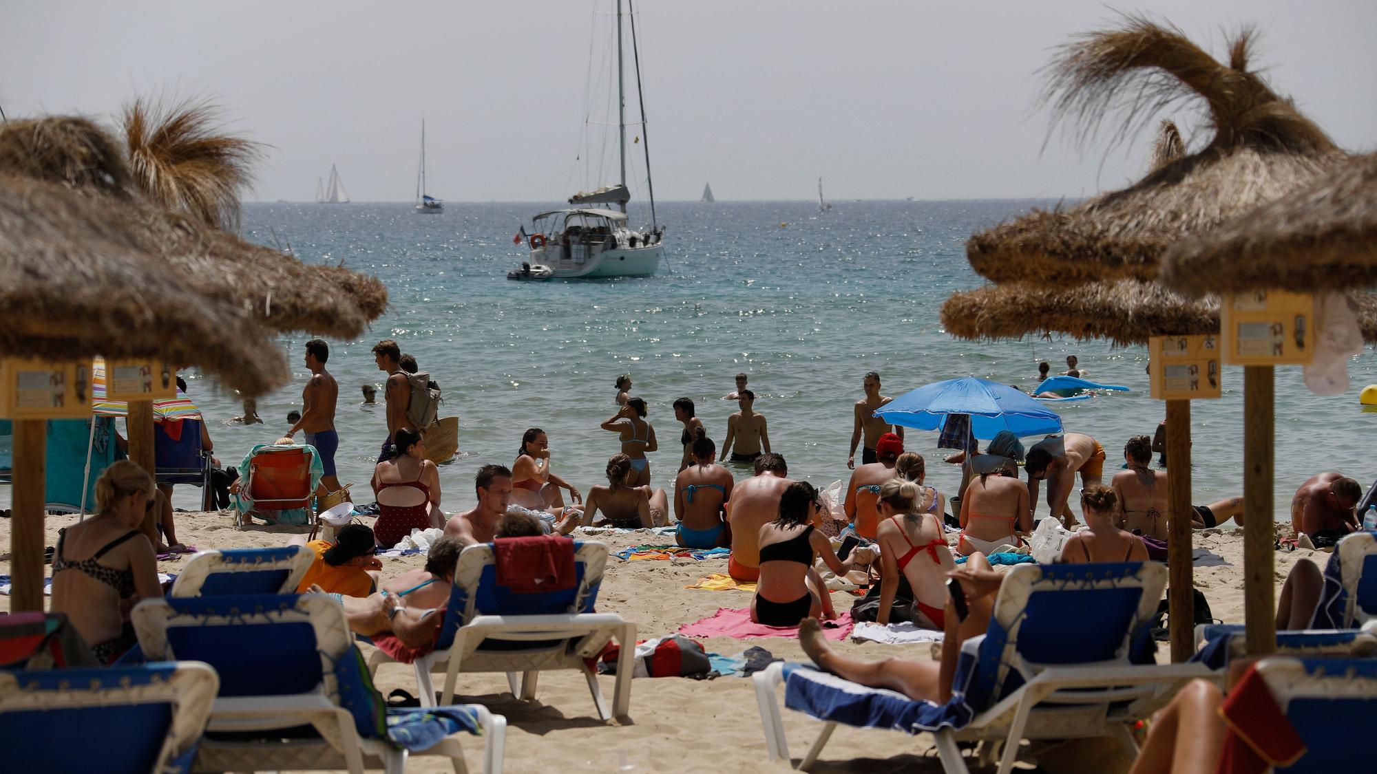Auch am Strand in Palma de Mallorca (hier ein Archivfoto) wurden die Riesenquallen gesichtet.